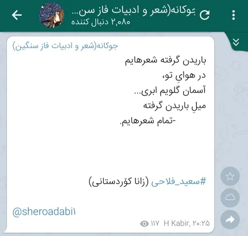 سعید فلاحی