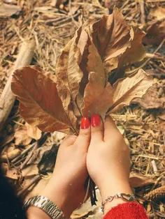 پاییز...!! 🍁🍂

