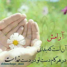 گوناگون shahnaz.kh 10279919