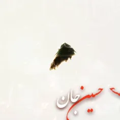 آمدم آب به خیمه برسانم که نشد/🌷