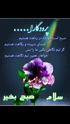 عکس خبری soheil_star 43916899