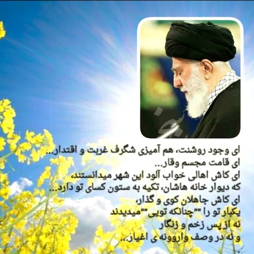 son of man Mahdi savior Islam shia Iran ashura