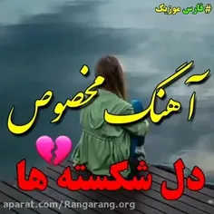 reza_1367 47621296