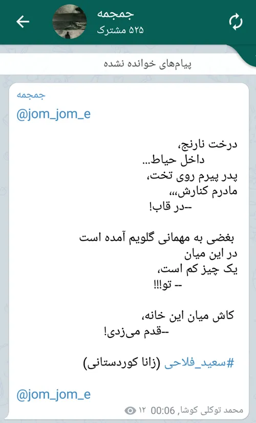 سعید فلاحی