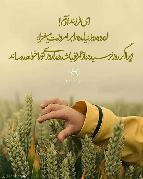 امیرالمومنین (علیه السلام):