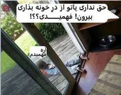 خخخخخخخخ