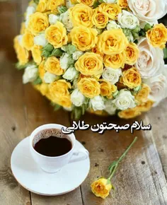 طلایی ترین روزها 🌼 🍃 