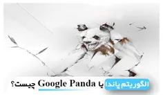 الگوریتم پاندا یا Google Panda چیست؟ | مهدی عراقی