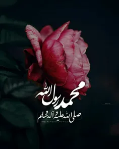 #محمد رسول الله ﷺ ♥ ️🌿 