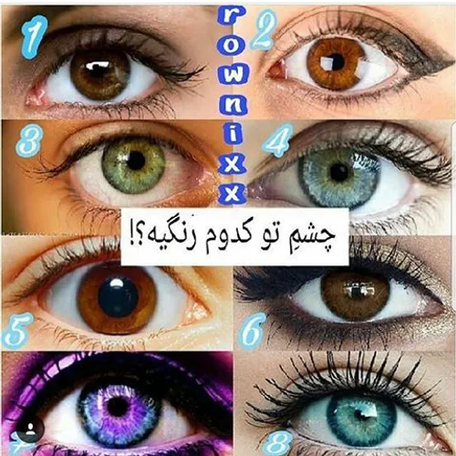 چشمت کدومه ؟