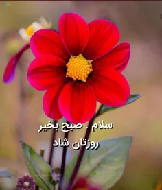 الهی نگاهی