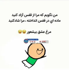 مرغای دهه نودی😂