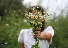 من این‌جا روزی آخِر از دل این خـــــاک 🌹