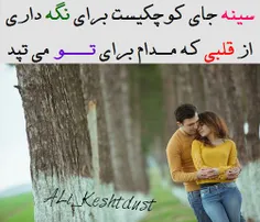 #ALi_Keshtdust#
