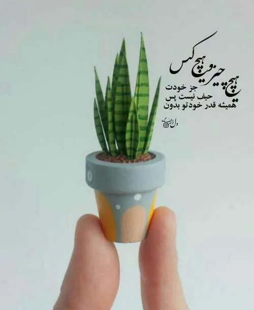 قشنگ طوری... 💚🌱