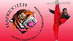 hapkido