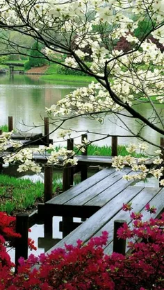 امروز یه گداعه رو دیدم