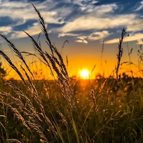 گفتم ... قفل دلم ناگهان شکست🍃