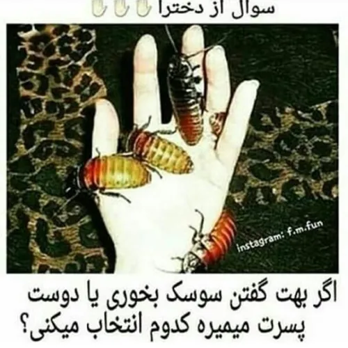 گروه تلگرام خفن ها