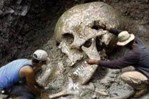راز کشف استخوان انسان های غول پیکر در مصر مشخص شد!