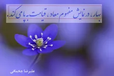  کاریکلماتور ( قیامت بهار )