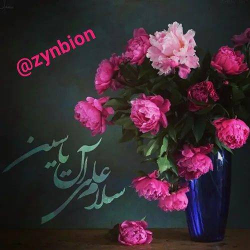 🎀 🍃 زیــنـبـیــــون🍃 🎀