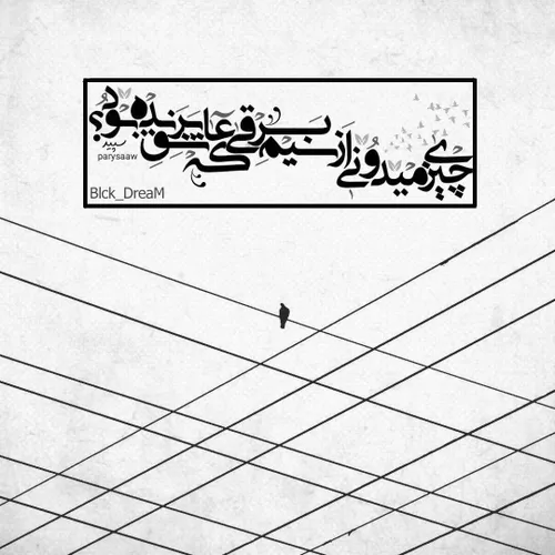 چیزی میدونی از سیم برقی که عاشق پرنده بود؟:)))