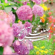 ‍ ‍ 🍃 🌸 در اولین روز تابستان