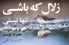 زلال که باشی
