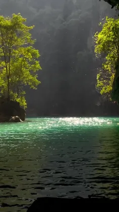عشق پیری گر بجنبد،