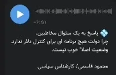 چرا دولت هیچ برنامه ای برای کنترل دلار ندارد