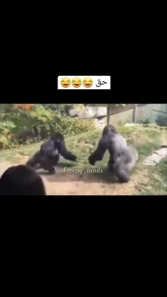 باز آمد بوی خوش حق🤝🏻✊🏻👊🏻 ستاد حق گویان ویسگون‌