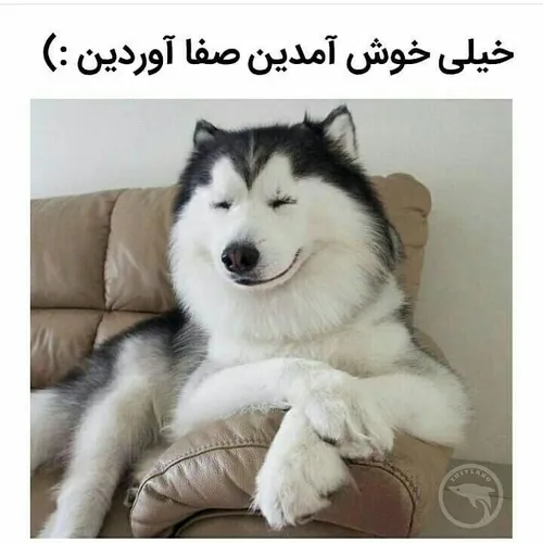 قربون شما