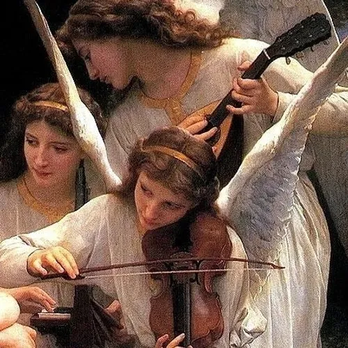 ویولن ها می نوازند . . .