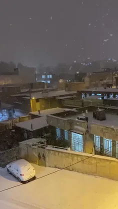 بارش زیبای برف در شهر ایلام 