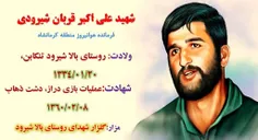 📖 زندگی نامه شهید علی اکبرشیرودی