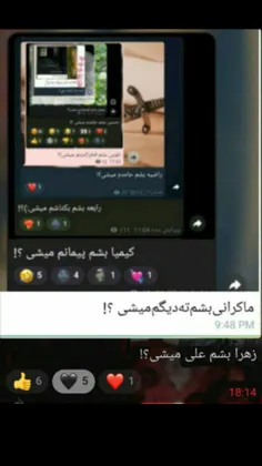 حاج خانم بشم چویلم میمونی باوانم؟🥲😂