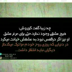 عکس نوشته homayon.karami 18903803