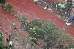 در سال 2001 باران قرمز رنگ شبیه خون در کرالای هند بارید ک