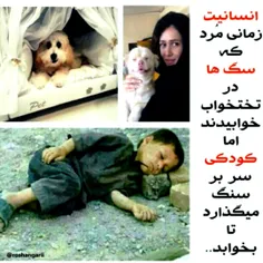 #انسانیت یا حیوانیت؟!!!