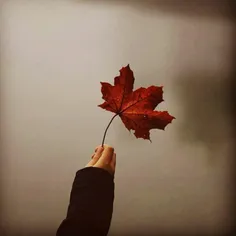 و باز پاییز با همه خاطراتش در حال رفتن است ... 🍂  🍁  