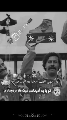 فالو کنی فالو میشی