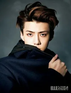 exo's sehun