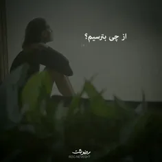 بترس از کسی که سکوت کرد ...