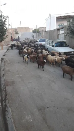 غروب تابستان روستای ما تشریف بیارید دوستان گلم