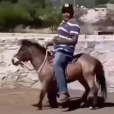 این اسب واقعا چه کارش کرد