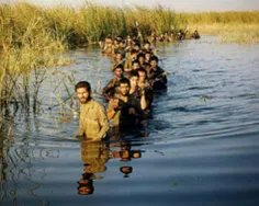 کجا دنبال مفهومی به نام #عشق میگردی 