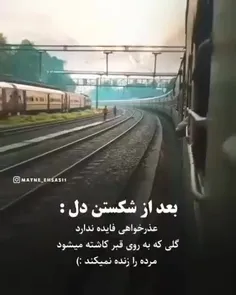 زخم خورده را محتاج نوازش نیست