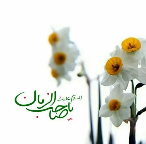 💫سلام صاحب ما ،مهدی جان 💖