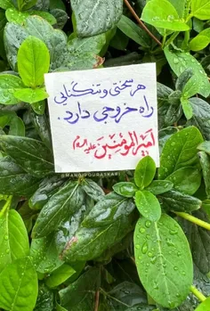 هرسختی وتنگنایی راه خروجی دارد